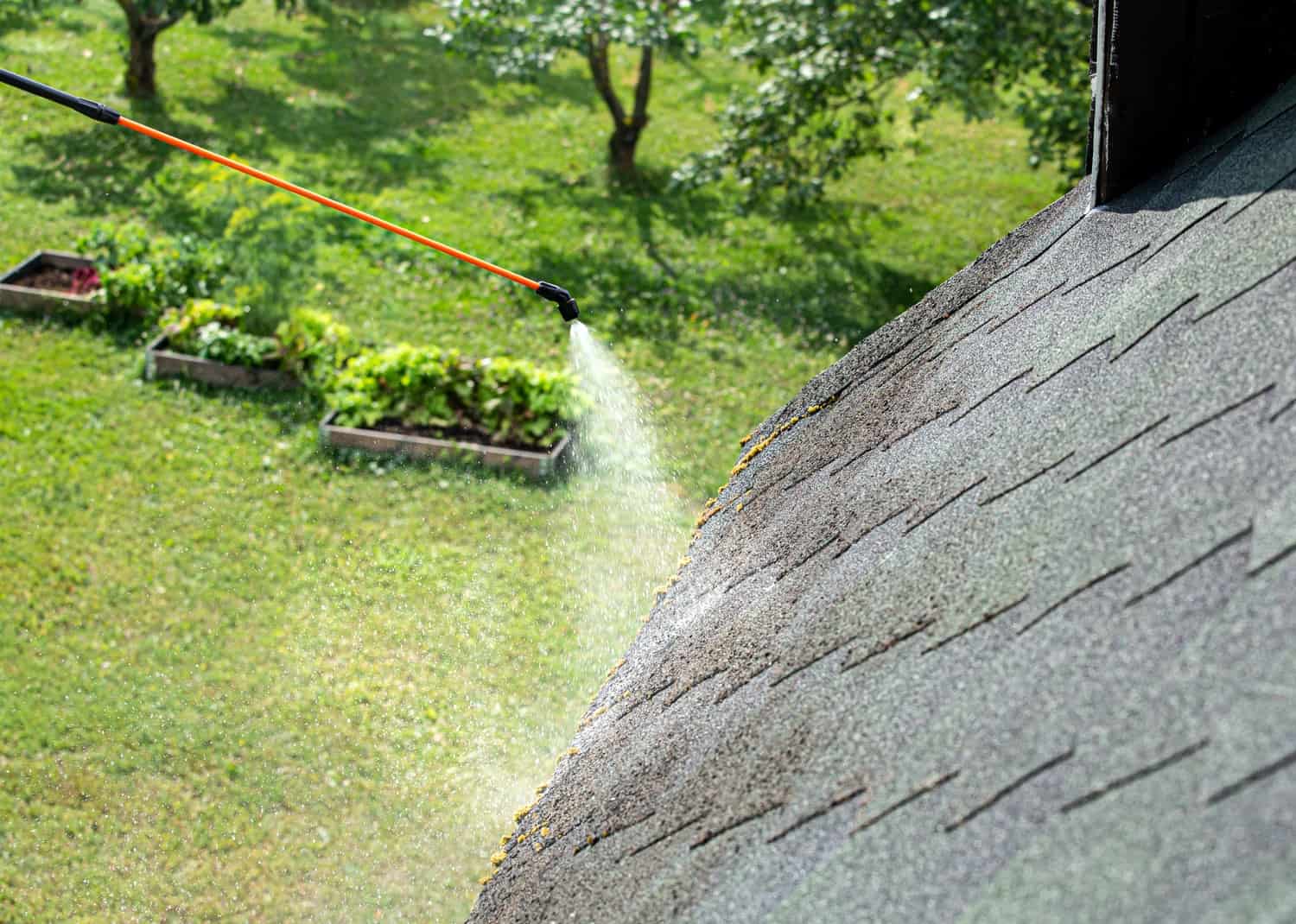 Roof Pressure Washing Gray asphalt shingle roof being pressure washed with high-pressure spray, showing cleaned versus moss-stained sections