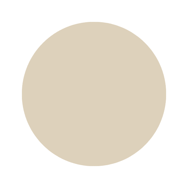 Cream and Sugar Paint Swatch Cream and Sugar soft beige paint color swatch with flat matte finish on neutral background.