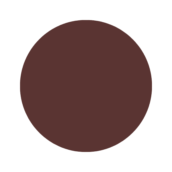 Dark Auburn Paint Color Dark auburn brown paint color swatch with matte finish on neutral background