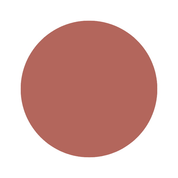 Henna Shade Paint Color Henna shade warm terracotta-brown paint color swatch with matte finish