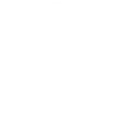 License W Paint Swatch License W off-white paint color swatch with matte finish for interior residential painting.