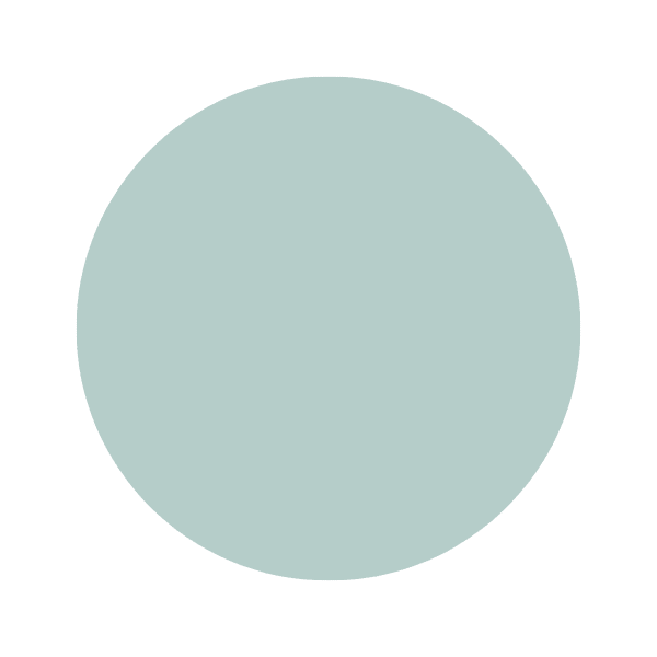 Watery Paint Color Swatch Watery soft sage-green paint color swatch with matte finish
