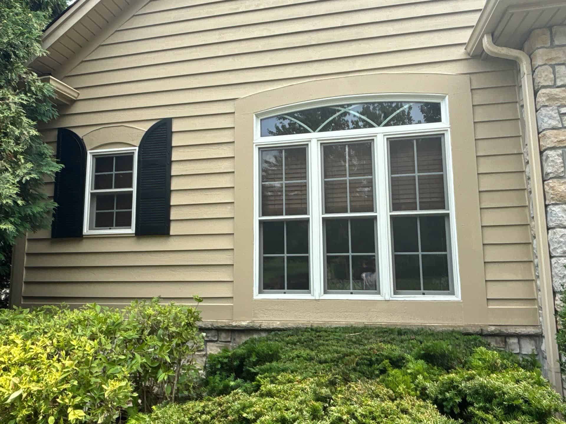 Tan Siding Home Exterior Tan-painted residential exterior with black shutters, white-trimmed windows, stone foundation, and horizontal vinyl siding.